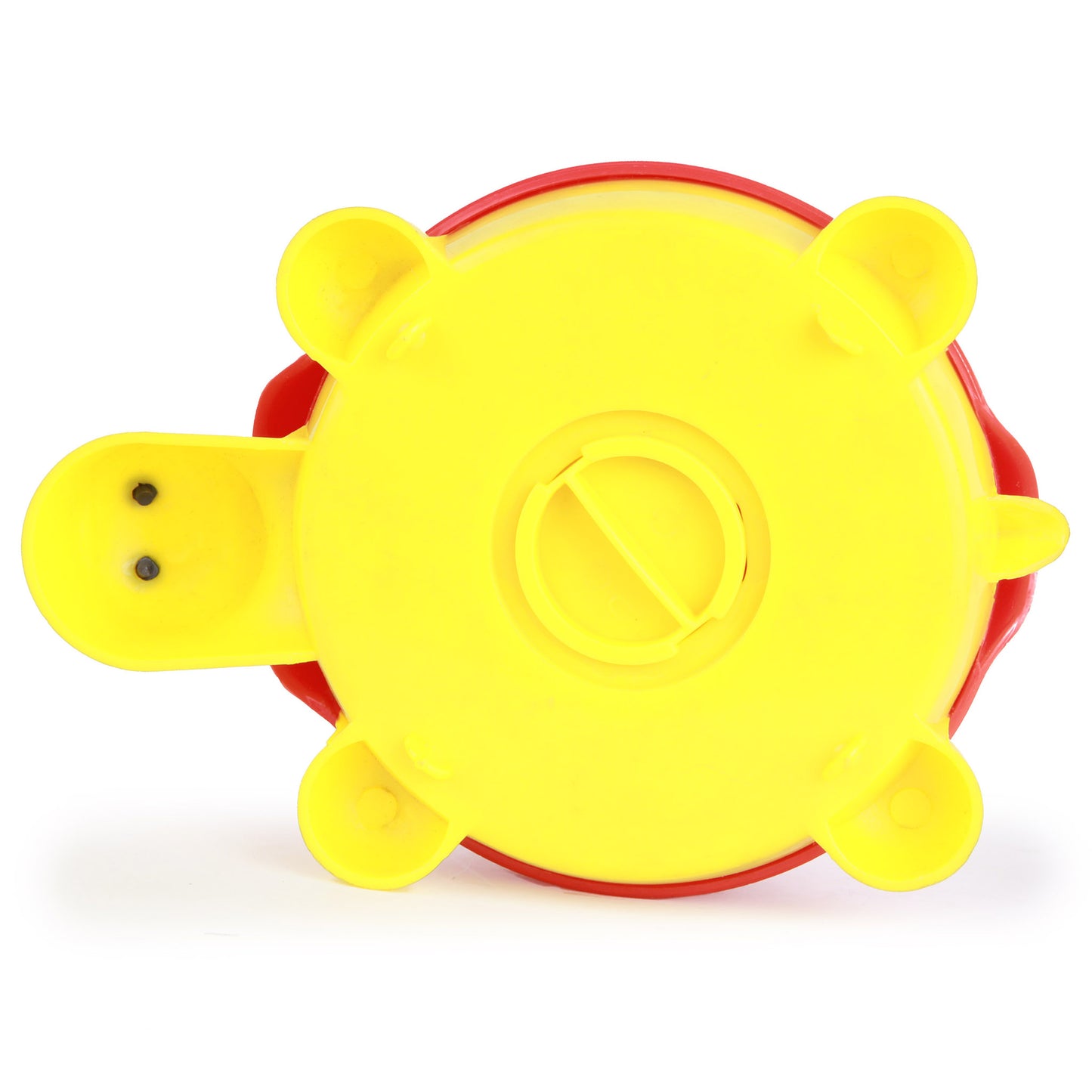 Turtle Coin Bank