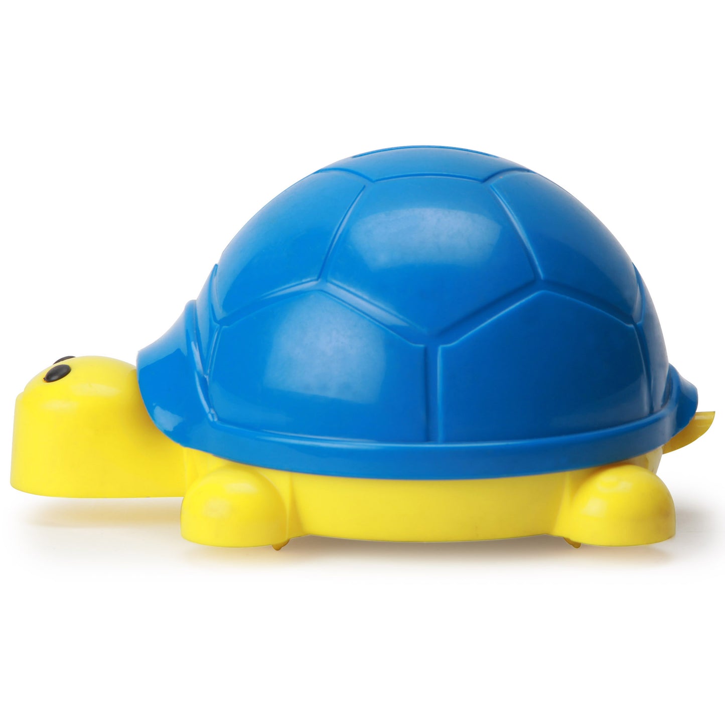 Turtle Coin Bank
