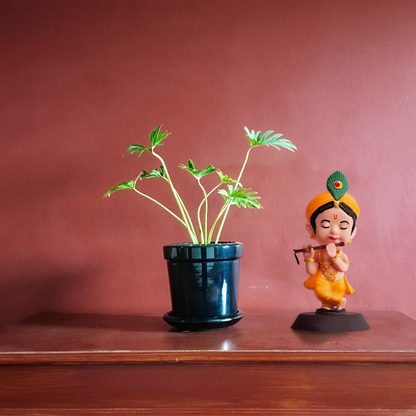 DHYAAN BANSIDHAR - SKIN TONE KRISHNA IDOL