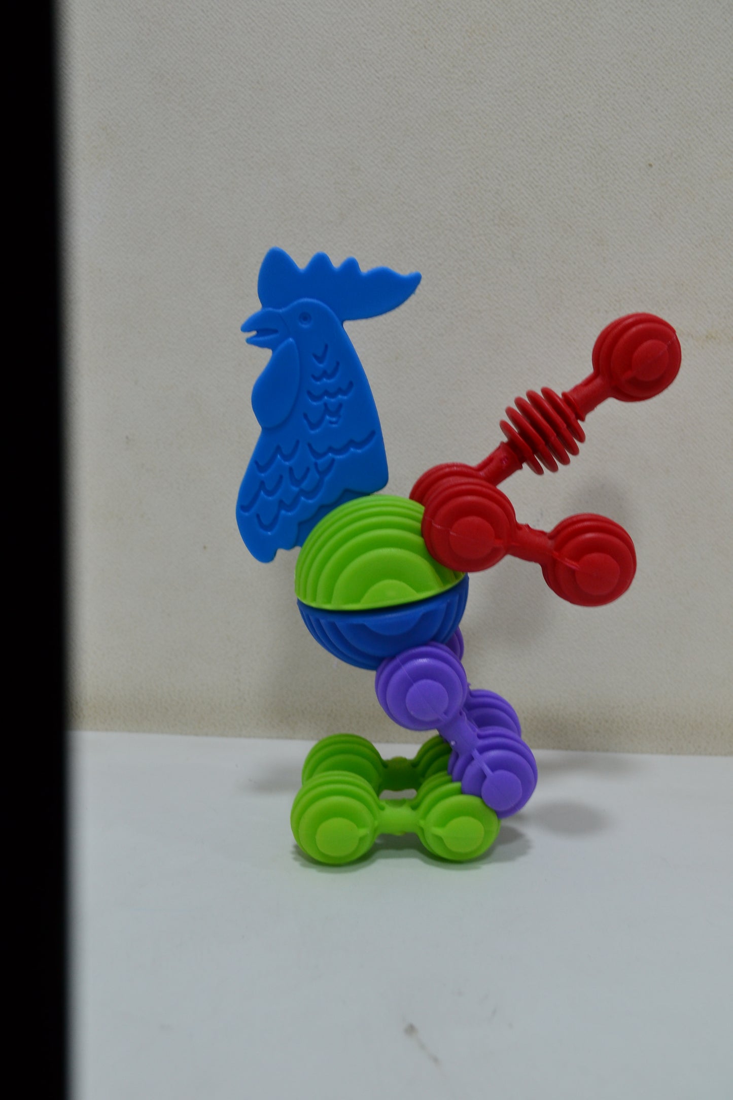 Fun Animal safari - Rooster