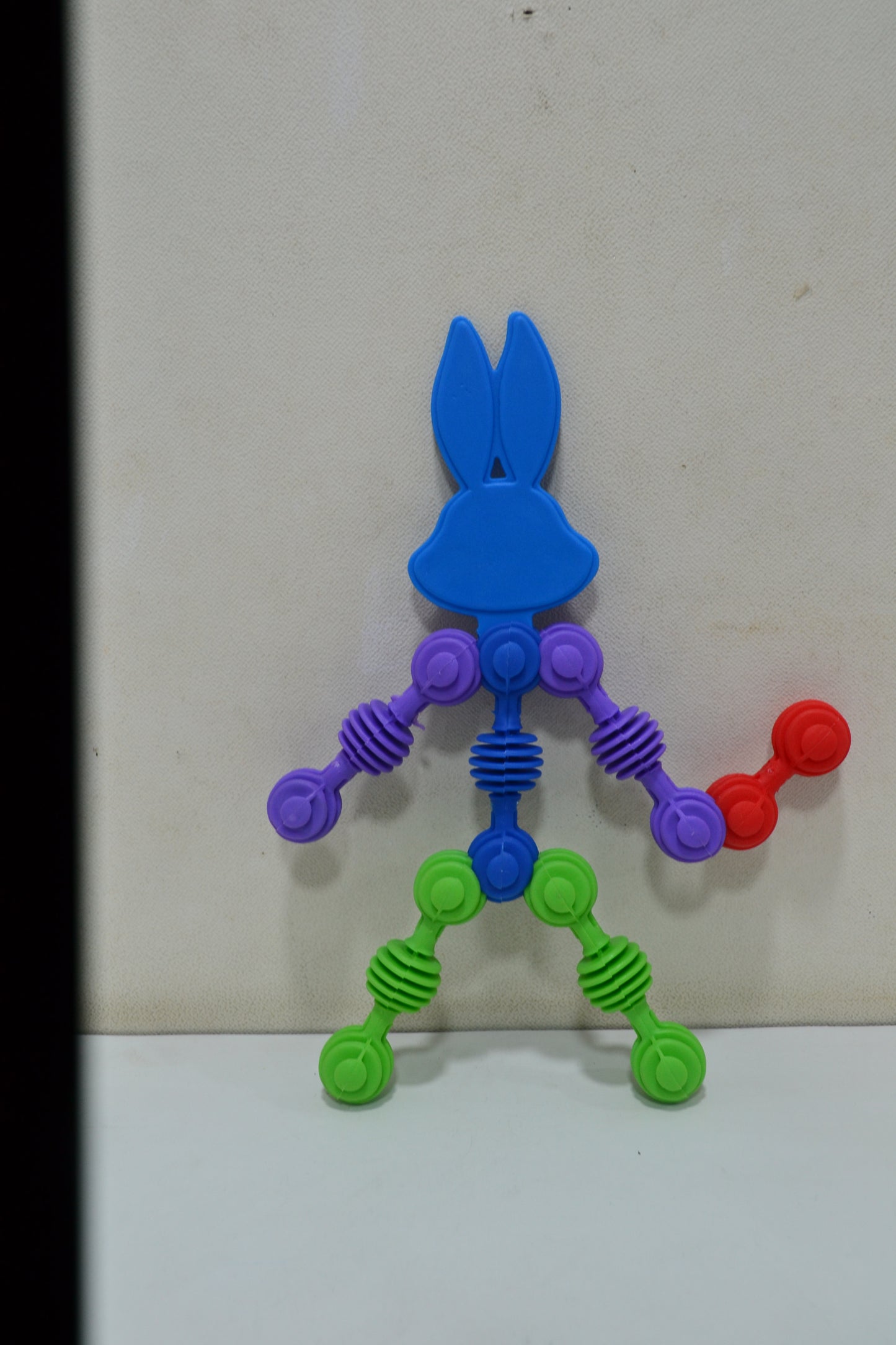 Fun Animal Safari - Rabbit