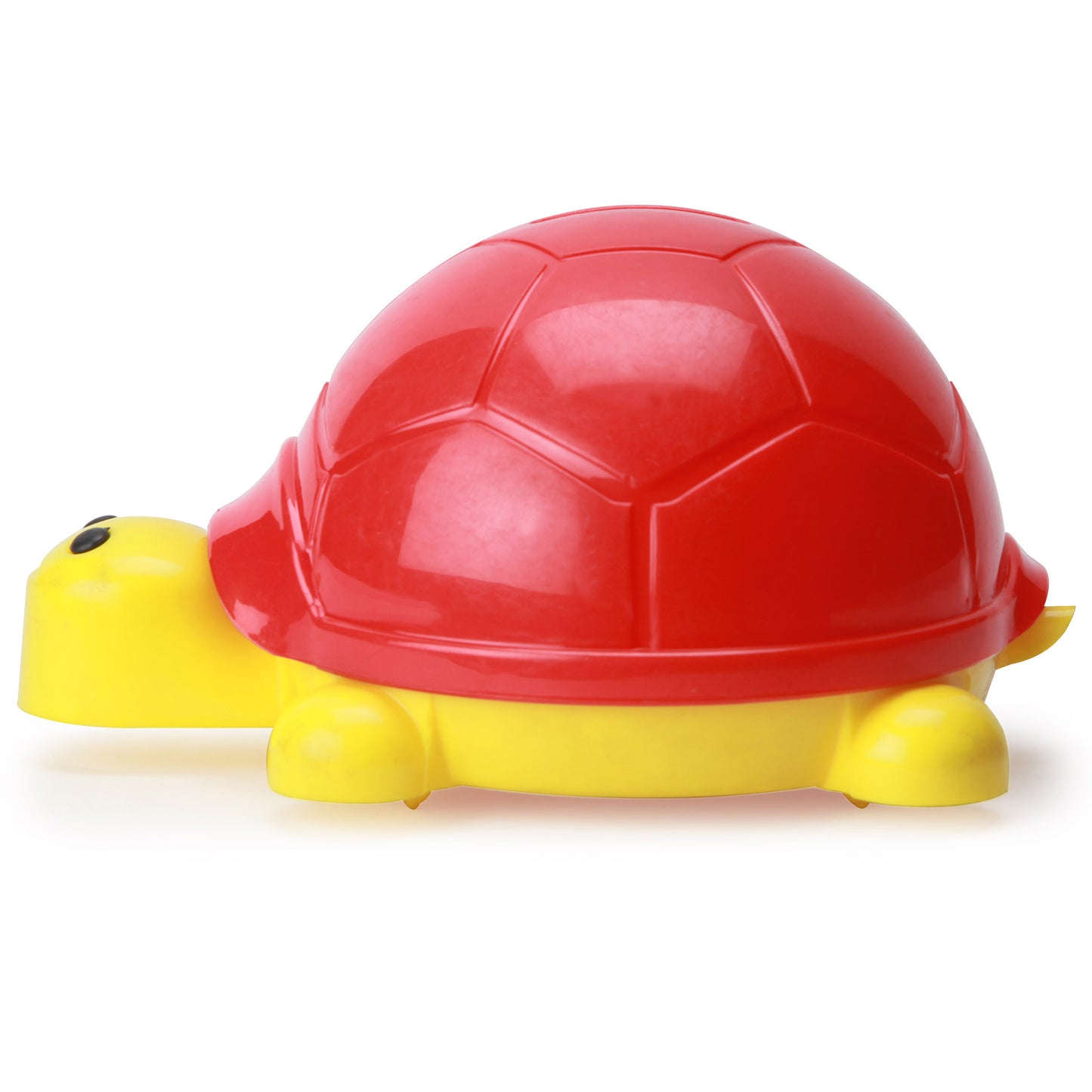 Turtle Coin Bank