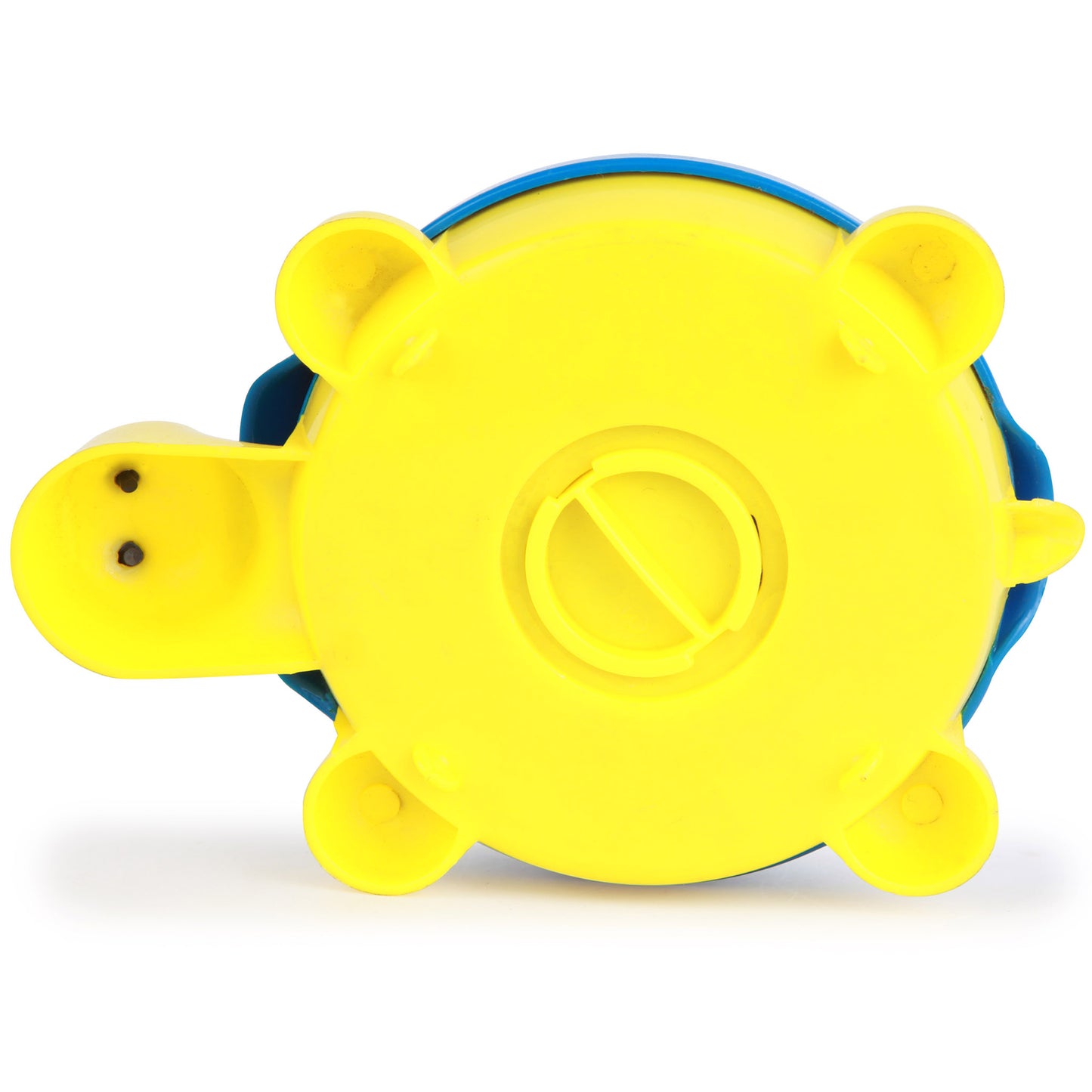 Turtle Coin Bank